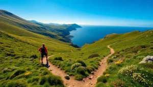 Wanderer auf dem Beara Way Irland, umgeben von üppigem Grün und atemberaubender Küstenlandschaft.